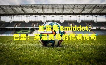  加雷斯·巴里：英超赛场的低调传奇