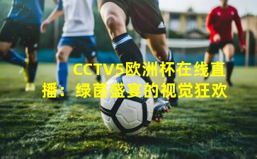 CCTV5欧洲杯在线直播：绿茵盛宴的视觉狂欢