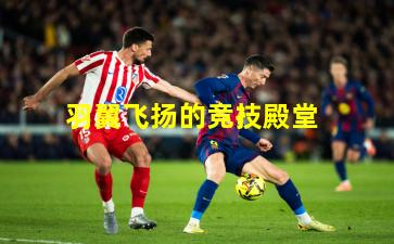 羽翼飞扬的竞技殿堂