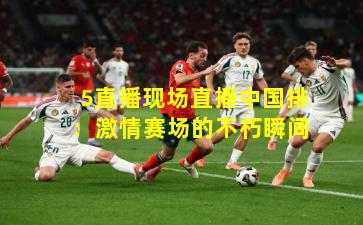 5直播现场直播中国排：激情赛场的不朽瞬间